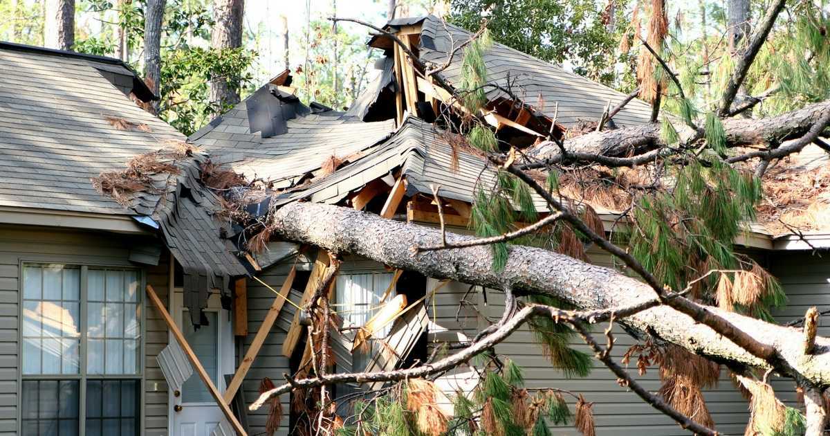 Storm damage restoration in NJ: large fallen tree on a house roof after a storm