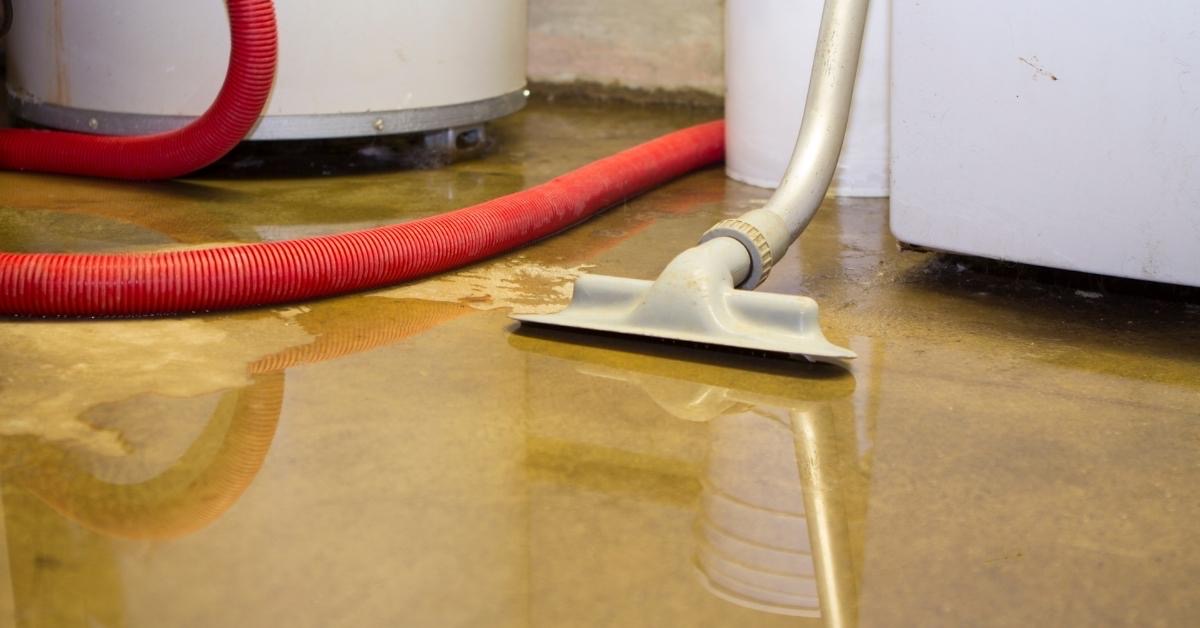 Sewage cleanup in NJ: wet vacuum extracting water from a flooded basement floor