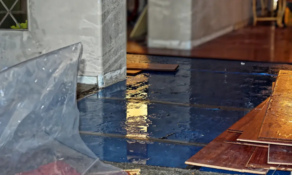 Water pooled across a hardwood floor after water damage